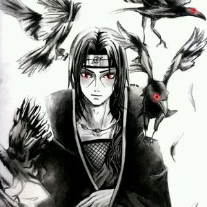 Meet your Posher, Minerva